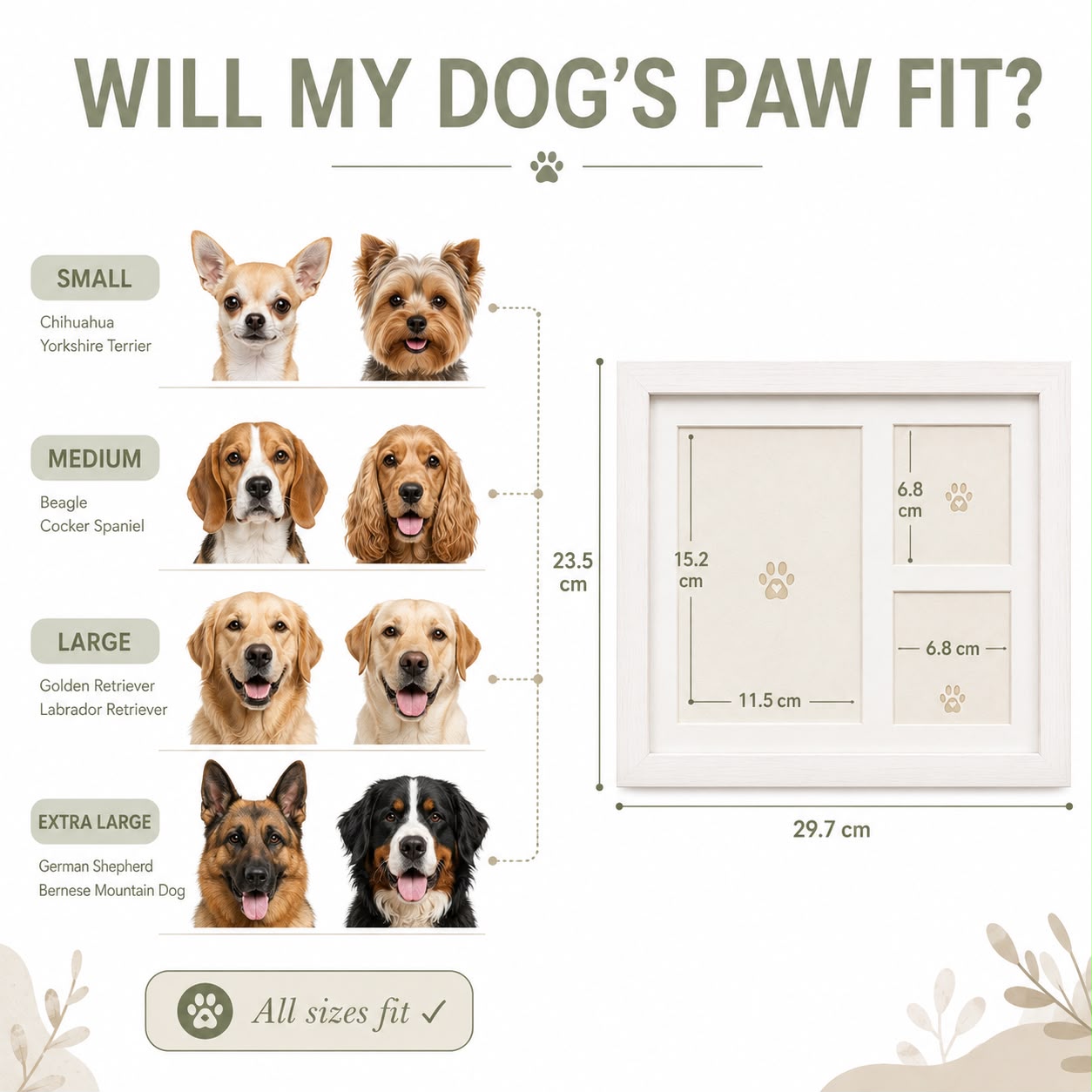 MD PawPure™ Paw Print Keepsake Kit